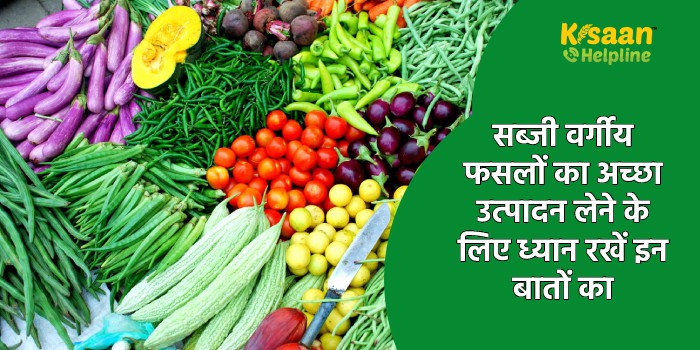 सब्जी वर्गीय फसलों का अच्छा उत्पादन लेने के लिए ध्यान रखें इन बातों का सब्जी वर्गीय फसलों का अच्छा उत्पादन लेने के लिए ध्यान रखें इन बातों का